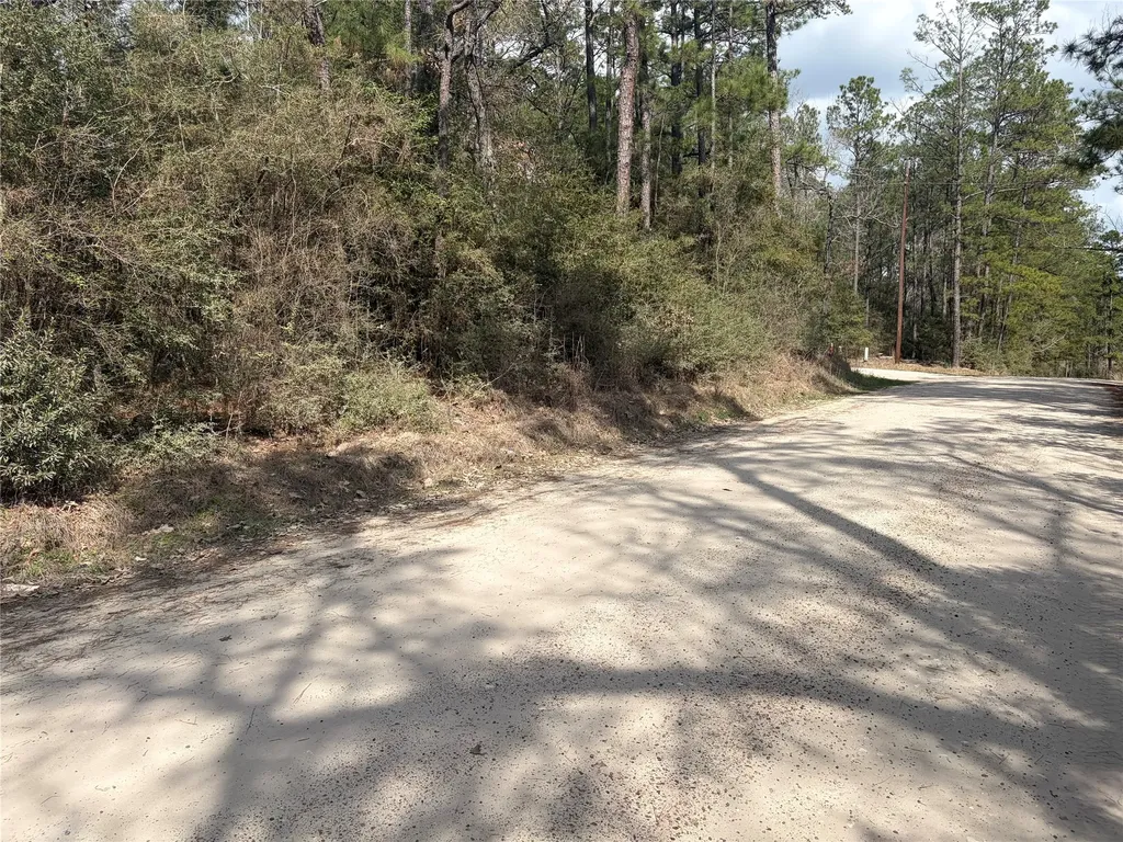 Tbd Little Ponderosa Drive Onalaska TX 77360