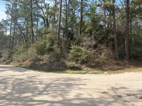 Tbd Little Ponderosa Drive Onalaska TX 77360