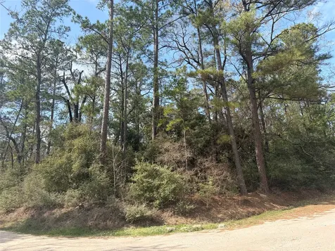 Tbd Little Ponderosa Drive Onalaska TX 77360