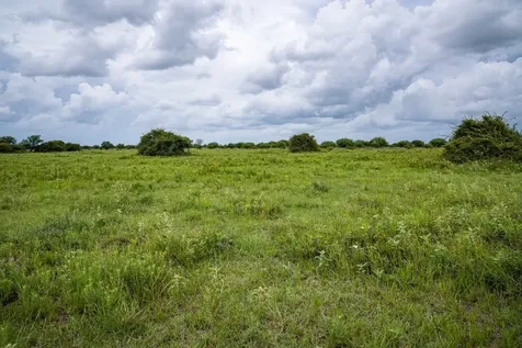 Tbd Rice Road Cat Spring TX 78933