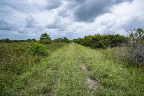 Tbd Rice Road Cat Spring TX 78933