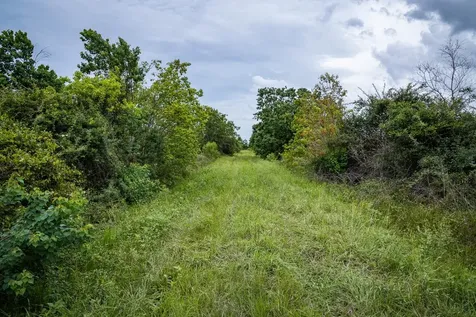 Tbd Rice Road Cat Spring TX 78933