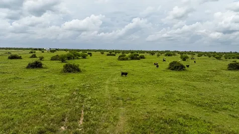 Tbd Rice Road Cat Spring TX 78933