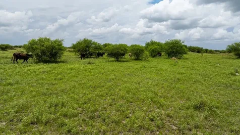 Tbd Rice Road Cat Spring TX 78933