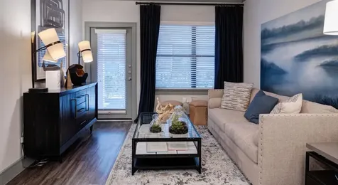 2539 Spring Cypress Road 8205 Spring TX 77388