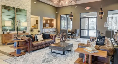 2539 Spring Cypress Road 8205 Spring TX 77388
