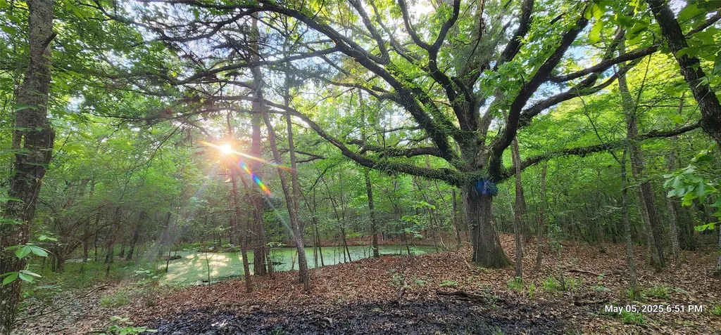 Tbd Cr 3230 Clarksville TX 75426