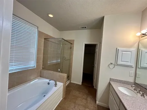 14 N Winterport Circle The Woodlands TX 77382