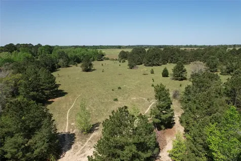 2954 Cr 2170 Grapeland TX 75844