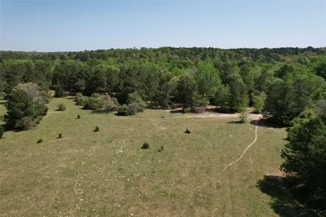 2954 Cr 2170 Grapeland TX 75844