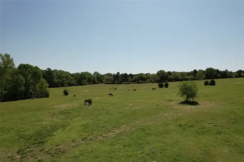 2954 Cr 2170 Grapeland TX 75844