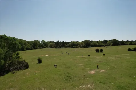 2954 Cr 2170 Grapeland TX 75844