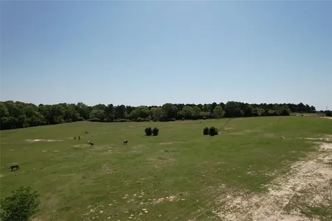2954 Cr 2170 Grapeland TX 75844