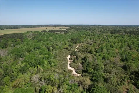 2954 Cr 2170 Grapeland TX 75844