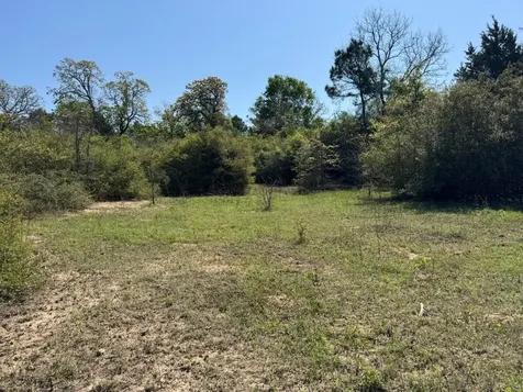 2954 Cr 2170 Grapeland TX 75844