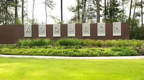 410 Audubons Shearwater Way Magnolia TX 77354