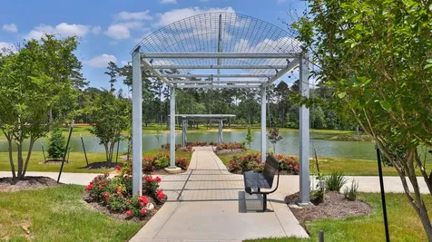 410 Audubons Shearwater Way Magnolia TX 77354