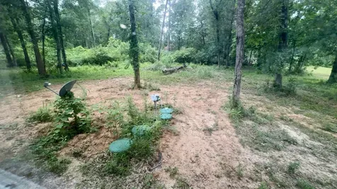 2485 Mangum Road Livingston TX 77351