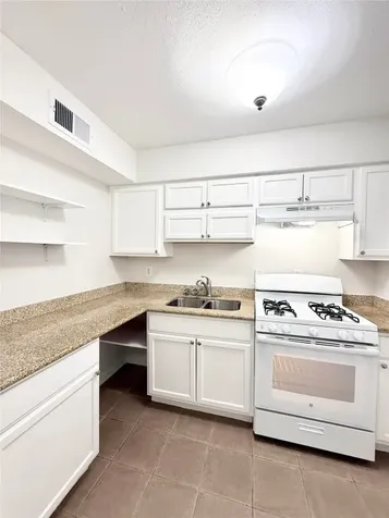 1141 N Durham Drive 18 Houston TX 77008