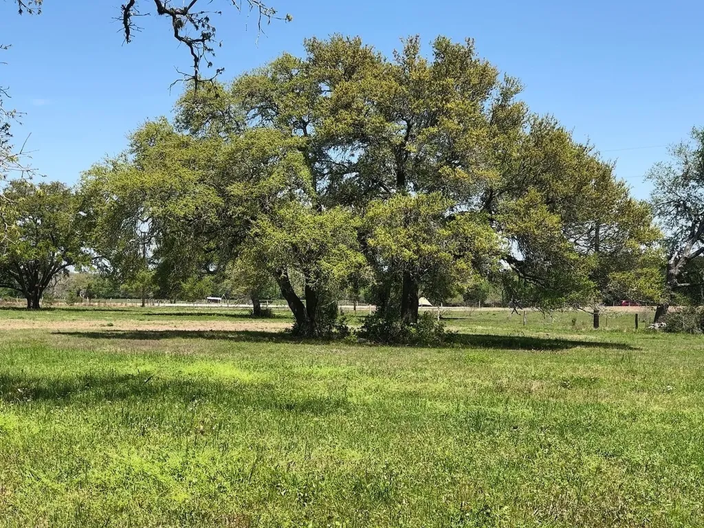 Lot 6 Pvt 1671 Hallettsville TX 77964