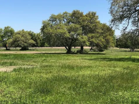Lot 6 Pvt 1671 Hallettsville TX 77964