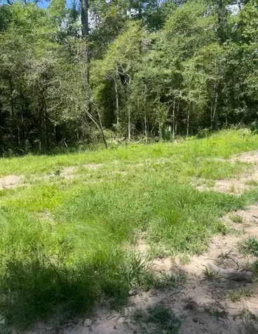 56 Firewood Road Huntsville TX 77340