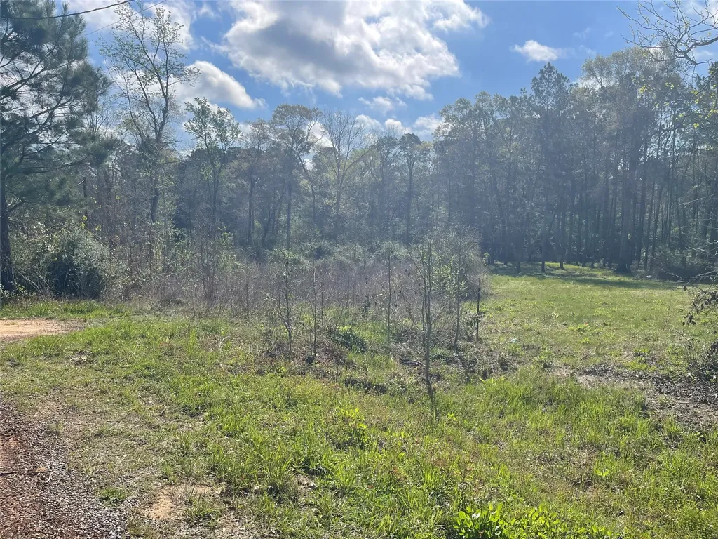 Tbd Elendor Drive Cleveland TX 77328