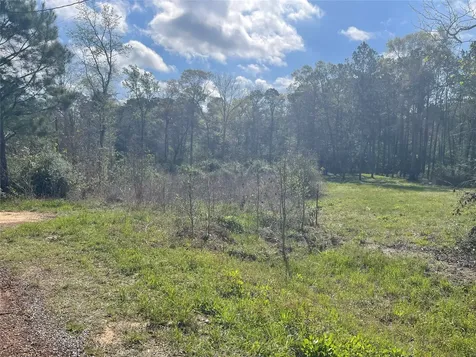 Tbd Elendor Drive Cleveland TX 77328