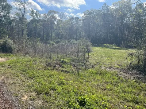 Tbd Elendor Drive Cleveland TX 77328