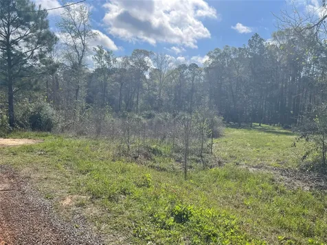 Tbd Elendor Drive Cleveland TX 77328
