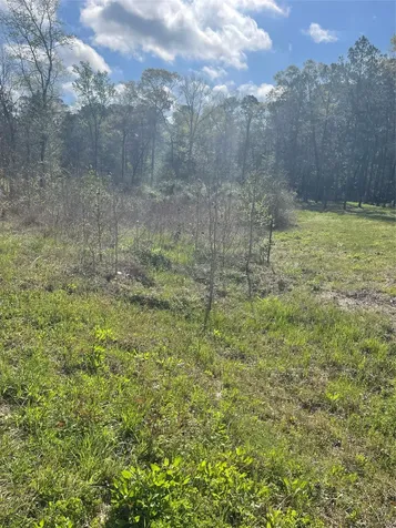 Tbd Elendor Drive Cleveland TX 77328