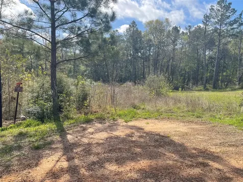 Tbd Elendor Drive Cleveland TX 77328