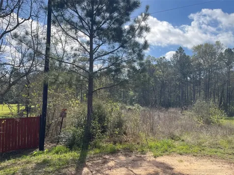 Tbd Elendor Drive Cleveland TX 77328