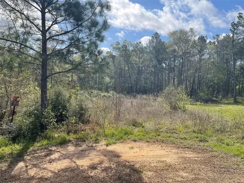 Tbd Elendor Drive Cleveland TX 77328
