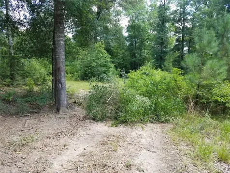 21275 Big Buck Drive Cleveland TX 77328