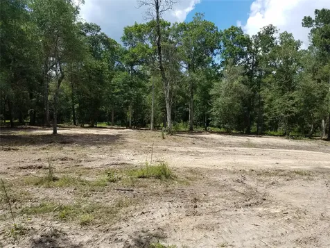21275 Big Buck Drive Cleveland TX 77328