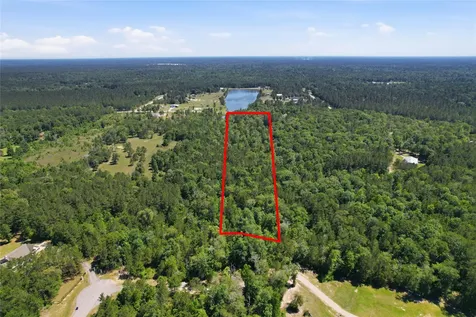 21275 Big Buck Drive Cleveland TX 77328