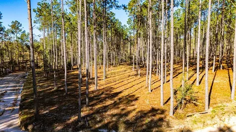 Lot 12 Big Buck Drive Moscow TX 75960