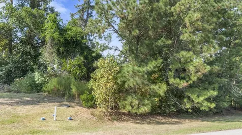 27919 Inspire Crest Lane Spring TX 77386