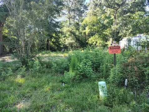 305 Angel Street Cleveland TX 77327