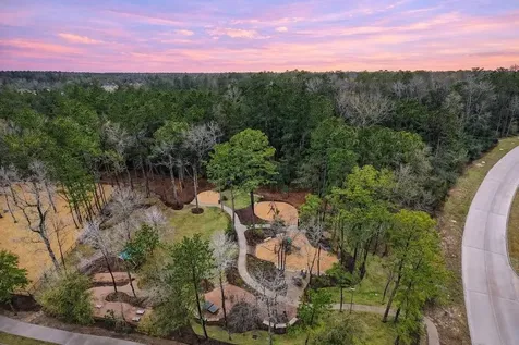 150 Cliftons Curve Way Montgomery TX 77316