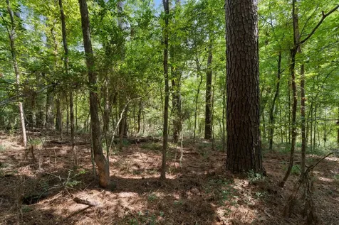 153 Sweetgum Lane Livingston TX 77351