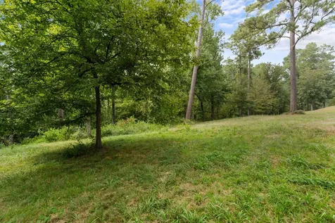 153 Sweetgum Lane Livingston TX 77351