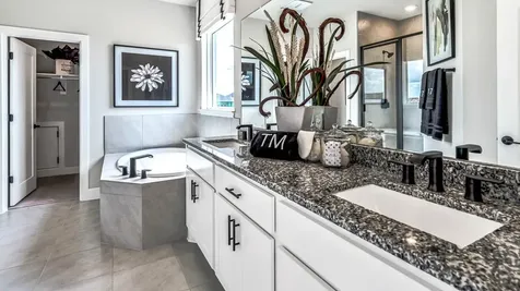 21514 Bass Strait Drive Cypress TX 77433