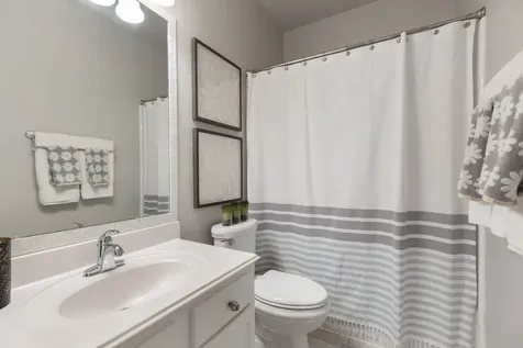 20826 Golden Sycamore Trail Cypress TX 77433