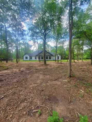 24647 Oak Creek Road Road Hockley TX 77447