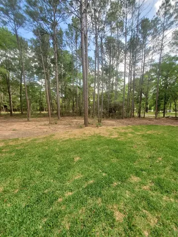 24647 Oak Creek Road Road Hockley TX 77447