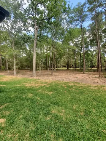 24647 Oak Creek Road Road Hockley TX 77447