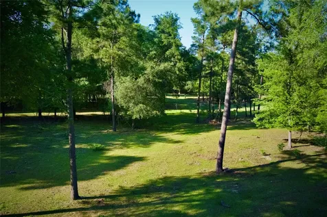 59 Beaconsfield Drive Magnolia TX 77355