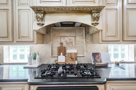 12411 Santiago Cove Lane Houston TX 77041
